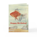 Birthday Fish Cards