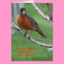 Birthday Friend, Robin & Cake cards