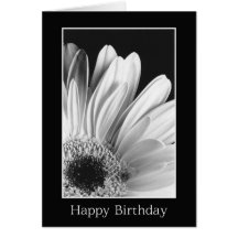 Birthday - Gerber Daisy Greeting Card