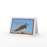 Birthday, Grandson, Ruddy Turnstone Bird
