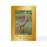 Birthday, Grandson, Sandhill Crane Bird Greeting Cards