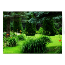Birthday - Greenscapes Cards