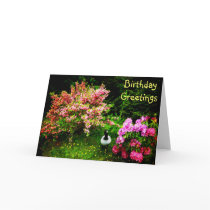 Birthday Greetings- Goose cards