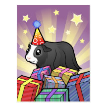 Birthday Guinea Pig (long hair) Postcards