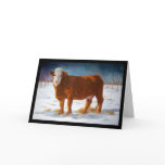 BIRTHDAY: HAPPY BEEF-DAY: PASTEL ART, COW CARD