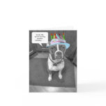 Birthday Hat Brindle Boxer