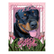 Birthday MOM - Pink Tulips - Rottweiler - Harley Post Cards