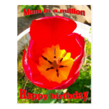 Birthday - mum postcard