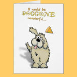 Birthday Party Invitation! cards
