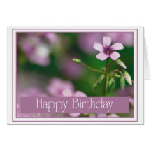 Birthday - Pink Wood Sorrel Greeting Card