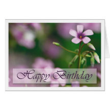 Birthday - Pink Wood Sorrel Greeting Card