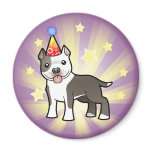 Birthday Pitbull / American Staffordshire Terrier