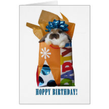 Birthday rabbit greeting card