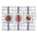 Birthday - Red Cardinals
