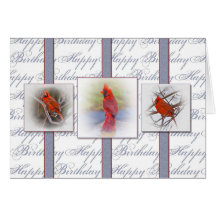 Birthday - Red Cardinals