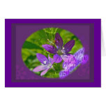 Birthday Venus Looking Glass Wildflower Floral Greeting Cards
