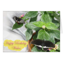 Birthday Wishes- Butterfly Cards