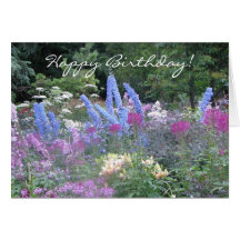 Birthday Wishes Card
