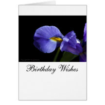 Birthday Wishes Cards