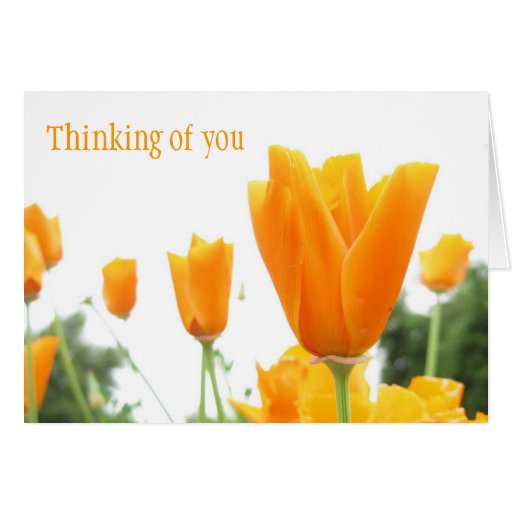 Birthmothers' Day card