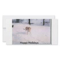 biscuit snow, Happy Holidays Picture Card