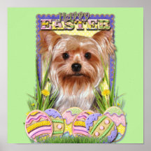 Biscuits d'oeuf de pâques - Yorkshire Terrier Affiche