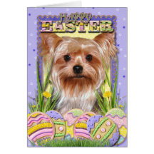 Biscuits d'oeuf de pâques - Yorkshire Terrier Carte De Vœux