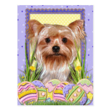 Biscuits d'oeuf de pâques - Yorkshire Terrier Cartes Postales