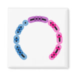 Bisexual Morse Code Arc Square Magnet