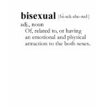 BISEXUAL T-SHIRT / Gay Slang T-shirt