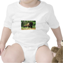 Bison Body