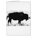 Bison - Buffalo Cards