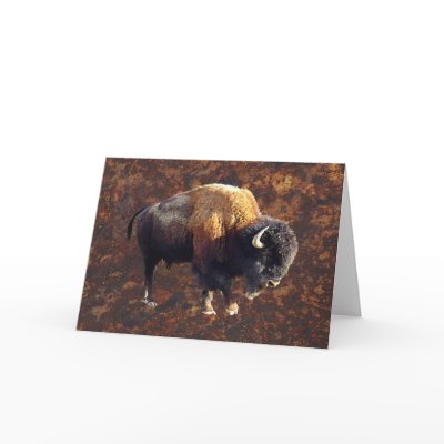 Bison Buffalo Wildlife Greeting Card by RavenSpiritPrints