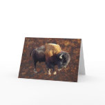Bison Buffalo Wildlife Greeting Card