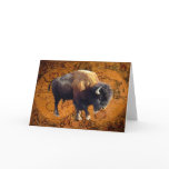 Bison Buffalo Wildlife Old World Map Greeting Card