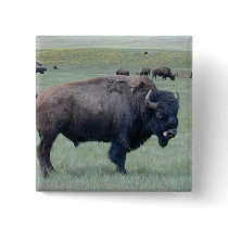 Bison Pins
