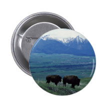 Bison Button