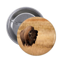 Bison Button
