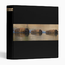 Bison Crossing River Vinyl Binders