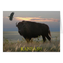 Bison/Eagle//KANSAS!! greeting card