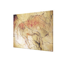 Bison from the Caves at Altamira, c.15000 BC Stretched Canvas Prints