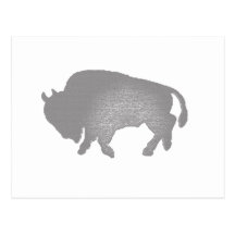 Bison Grey Postcard