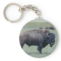 Bison Keychains