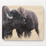 bison mouse pad