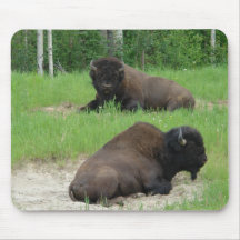 Bison Mousepads
