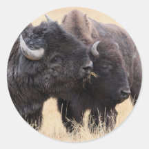 bison round stickers