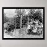 Bison Staring at Children 1899 Posters