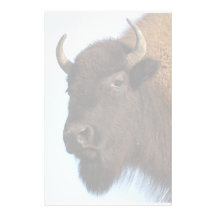 bison stationery
