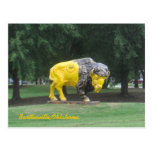 Bison Statue Post Cards