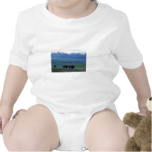 Bison T-shirt